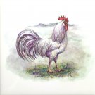 White Rooster Chicken 4.25" x 4.25" Accent Tile Kiln Fired Ceramic Tile White Rooster Chicken 4.25" x 4.25" Accent Tile Kiln Fired Ceramic Tile