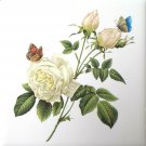 White Tea Rose with Butterflies Kiln Fired Flower Ceramic Tile 4.25" x 4.25" Botanical White Tea Rose with Butterflies Kiln Fired Flower Ceramic Tile 4.25" x 4.25" Botanical
