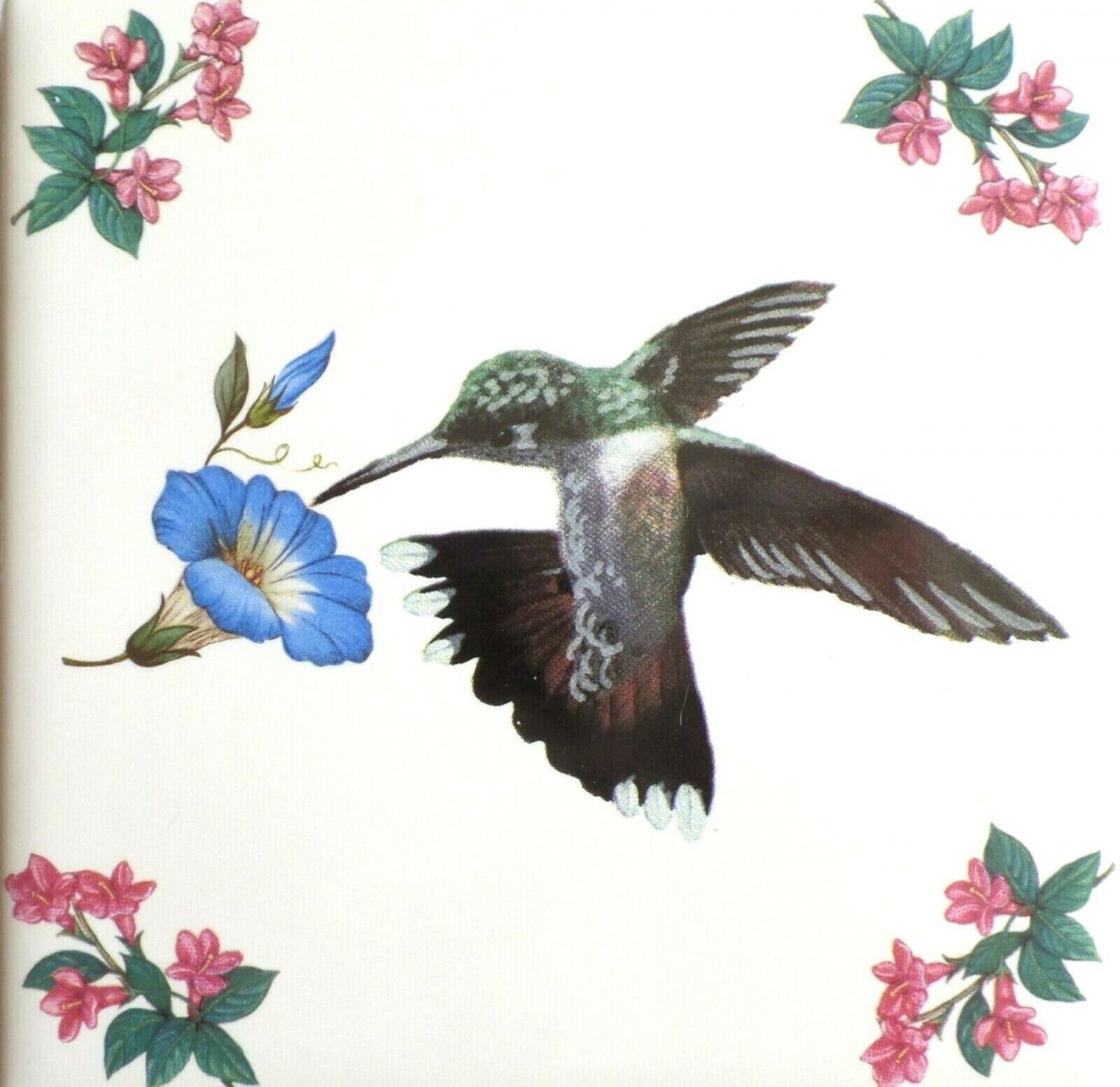 Green Hummingbird With Blue Morning Glory Flower 4 25 X 4 25 Ceramic Tile