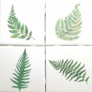 Set of Four Botanical Green Fern Leaves Ceramic Tiles 4.25" x 4.25"