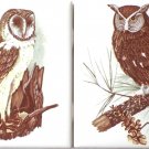 Owl #1 and #2 Bird Ceramic Accent Tile 4.25" x 4.25"  Kiln Fired Decor Wild Life