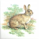 Brown Bunny Rabbit 4.25" x 4.25" Kiln Fired Ceramic Tile