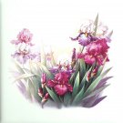 Pink Iris Flowers Ceramic Tile 4.25" x 4.25" Kiln Fired Accent Pink Iris Flowers Ceramic Tile 4.25" x 4.25" Kiln Fired Accent