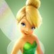 Tinker bell Gallery