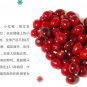 200g Natural Cranberry Butter Cookies Snack Pack A509