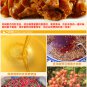 15g Premium Spicy Chicken Claw Cartilage Asian Snack Pack A528