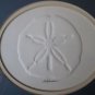 Dot Goodwin Framed Embossed Paper Sand Dollar Signed South Carolina Beach Decor