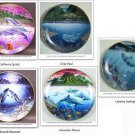 UNDERWATER PARADISE, Porcelain Plates, Danbury Mint