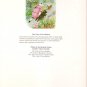 The Tale of Tom Kitten by Beatrix Potter 1992 Ottenhelmer Publishers Hardcover Book