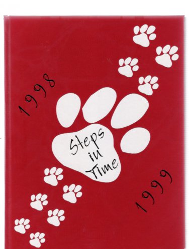 Staunton Illinois 1999 High School Echo Yearbook Steps in Time New