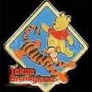 Disneyland Tokyo Pooh Winnie the Pooh Tigger Japan Pin/Pins