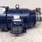 American Stainless Pumps SSPC C2564245T3F 5 HP 3500 RPM 1.5 x 2.0 Pump (TB)