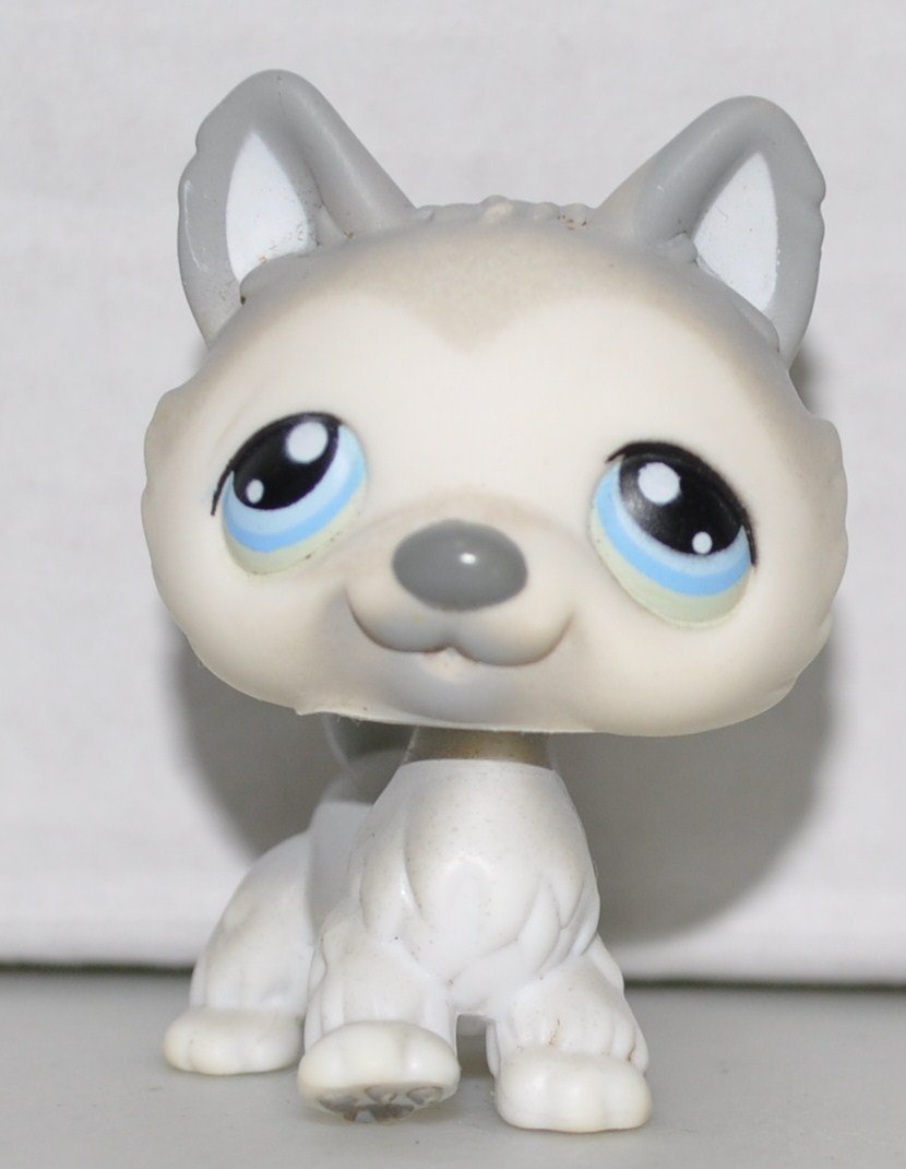 husky-69-littlest-pet-shop-collector-toy-lps-collectible-replacement