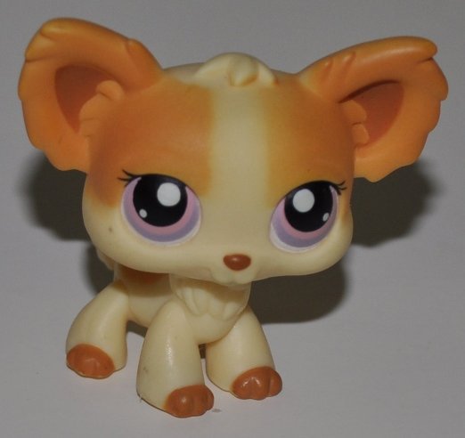 Chihuahua #96 Purple Eyes Littlest Pet Shop Retired Collector Toy LPS ...