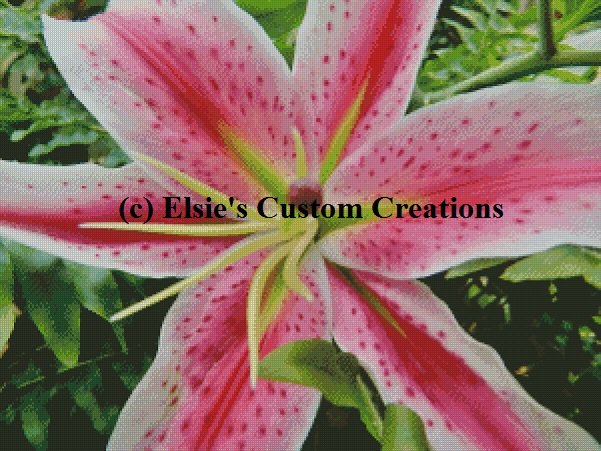 Lily Star Gazer Crochet Top