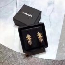 Earrings 014