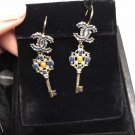 Earrings 029