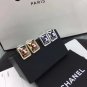 Earrings 024
