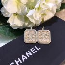 Earrings 046