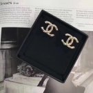 Earrings 054