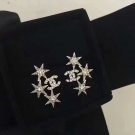 Earrings 055