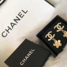 Earrings 067