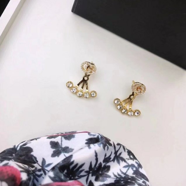 Earrings 002