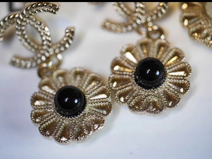 Earrings 081