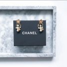 Earrings 088