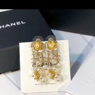 Earrings 089