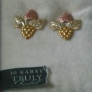 TRULY 10K Solid Gold Acorn Earrings Jewelry 1/2 X 1/2