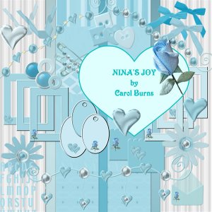 NINA'S JOY