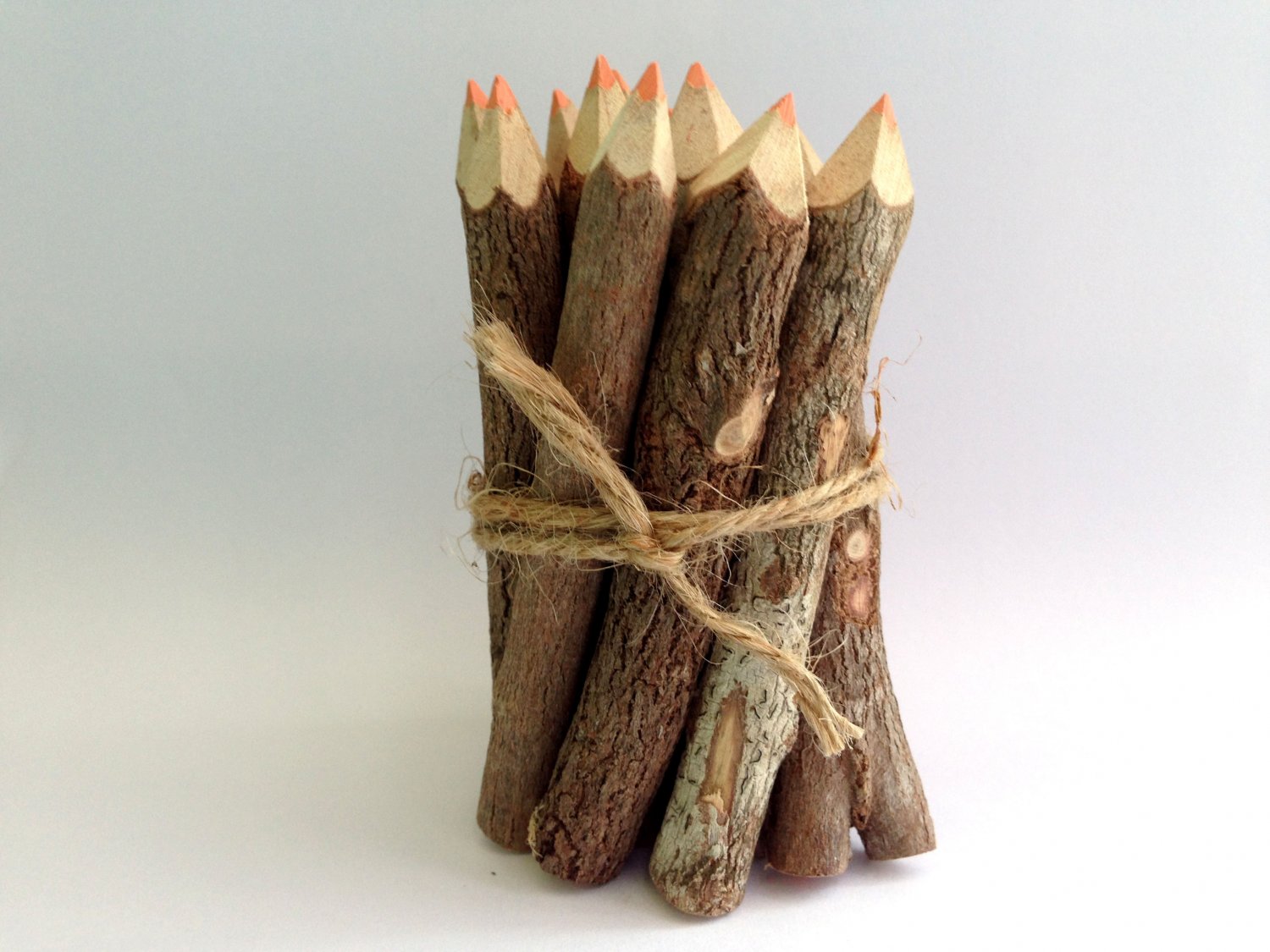 Rustic Twig Colored Pencils 3 inch Set of 12 pcs Tree Branch Color Pencils Handmade Color Pencils