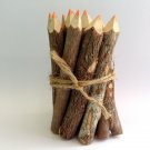 Rustic Twig Colored Pencils 3 inch Set of 12 pcs Tree Branch Color Pencils Handmade Color Pencils