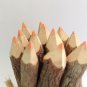 Rustic Twig Colored Pencils 3 inch Set of 12 pcs Tree Branch Color Pencils Handmade Color Pencils