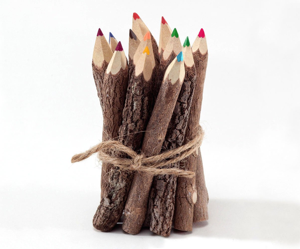 Rustic Twig Colored Pencils 3 inch Set of 12 pcs Tree Branch Color Pencils Handmade Color Pencils