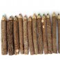 Rustic Twig Colored Pencils 3 inch Set of 12 pcs Tree Branch Color Pencils Handmade Color Pencils