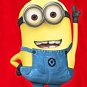 Despicable Me Minion Tee Shirt Boy or Girl