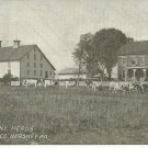 Hershey PA Pennsylvania RPPC Postcard Chocolate Company Cattle Herd Unposted