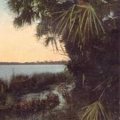St Petersburg FL Florida View of Salt Lake Early Postcard Unposted