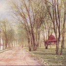 La Crosse WI Undivided Postcard River Drive in Pettibone Park 1913 Printed