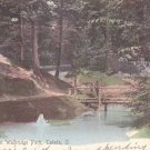 Toledo OH Ohio Vintage Postcard Ravine Walbridge Park Undivided Back 1906 Posted