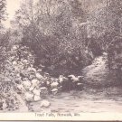 Norwalk WI Wisconsin Vintage Postcard Trout Falls 1913 Postmark