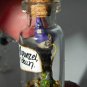The Maiden in the Tower Bottle Necklace