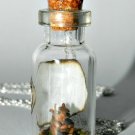Oh, Look a Squirrel! Bottle Necklace