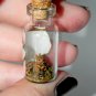 Oh, Look a Squirrel! Bottle Necklace