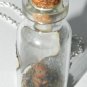 Oh, Look a Squirrel! Bottle Necklace
