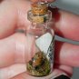 Oh, Look a Squirrel! Bottle Necklace