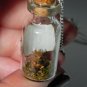 Oh, Look a Squirrel! Bottle Necklace