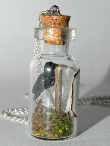 Winter is Coming, Three Eyed Raven, Bottle Necklace